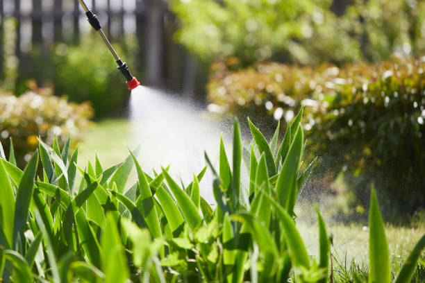 Tamper-Resistant Bait Stations for Rodents in Lake Stevens