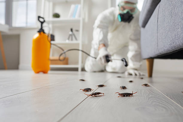 Commercial Rodent Management in Lake Stevens